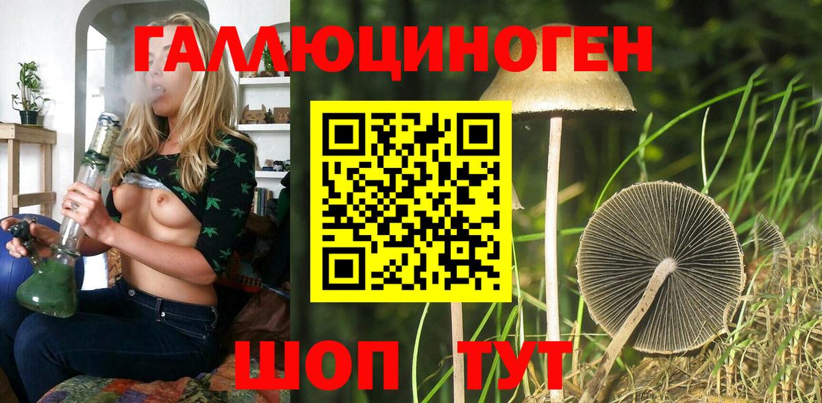 Великий Новгород  Псилоцибиновые грибы Psilocybine cubensis  закладка  Вход с VPN 